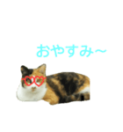 パリピにゃんこ♡（個別スタンプ：7）