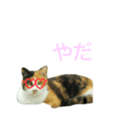 パリピにゃんこ♡（個別スタンプ：8）