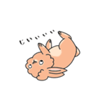 ライオンラビットのやえちゃん（個別スタンプ：5）