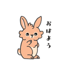 ライオンラビットのやえちゃん（個別スタンプ：16）