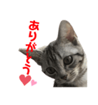 ひじきのすたんぷ（個別スタンプ：3）