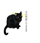 くろねこタロウくんスタンプ（個別スタンプ：8）