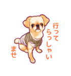 毎日きなこ④♪ペキニーズ＆チワワの女の子（個別スタンプ：2）