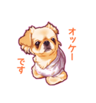毎日きなこ④♪ペキニーズ＆チワワの女の子（個別スタンプ：4）