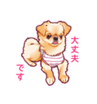 毎日きなこ④♪ペキニーズ＆チワワの女の子（個別スタンプ：5）