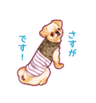 毎日きなこ④♪ペキニーズ＆チワワの女の子（個別スタンプ：6）