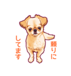 毎日きなこ④♪ペキニーズ＆チワワの女の子（個別スタンプ：9）