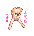 毎日きなこ④♪ペキニーズ＆チワワの女の子（個別スタンプ：13）