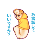 毎日きなこ④♪ペキニーズ＆チワワの女の子（個別スタンプ：14）