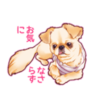 毎日きなこ④♪ペキニーズ＆チワワの女の子（個別スタンプ：15）