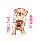 毎日きなこ④♪ペキニーズ＆チワワの女の子（個別スタンプ：16）