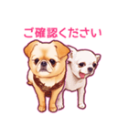 毎日きなこ⑤♪ペキニーズ＆チワワの女の子（個別スタンプ：3）