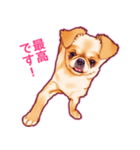 毎日きなこ⑤♪ペキニーズ＆チワワの女の子（個別スタンプ：6）