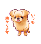 毎日きなこ⑤♪ペキニーズ＆チワワの女の子（個別スタンプ：7）
