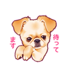 毎日きなこ⑤♪ペキニーズ＆チワワの女の子（個別スタンプ：8）