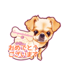 毎日きなこ⑤♪ペキニーズ＆チワワの女の子（個別スタンプ：9）