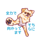 毎日きなこ⑤♪ペキニーズ＆チワワの女の子（個別スタンプ：11）
