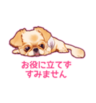 毎日きなこ⑤♪ペキニーズ＆チワワの女の子（個別スタンプ：13）