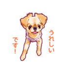 毎日きなこ⑤♪ペキニーズ＆チワワの女の子（個別スタンプ：14）