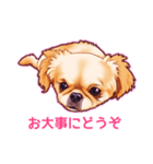 毎日きなこ⑤♪ペキニーズ＆チワワの女の子（個別スタンプ：15）