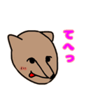 くま熊さん（個別スタンプ：18）