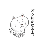 N猫（個別スタンプ：11）