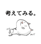 N猫（個別スタンプ：12）