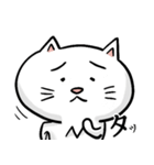 N猫（個別スタンプ：19）