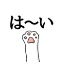 N猫（個別スタンプ：33）