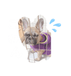 マロくんすたんぷ（個別スタンプ：3）