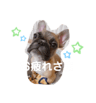 マロくんすたんぷ（個別スタンプ：6）