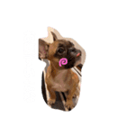 マロくんすたんぷ（個別スタンプ：7）