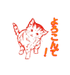 【動く】赤い子猫ちゃん（個別スタンプ：2）