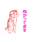 【動く】赤い子猫ちゃん（個別スタンプ：17）