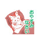 【動く】赤い子猫ちゃん（個別スタンプ：19）