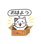 にゃんこdeスタンプ〜おはよう・おやすみ猫（個別スタンプ：8）