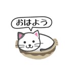 にゃんこdeスタンプ〜おはよう・おやすみ猫（個別スタンプ：22）