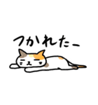 やる気ないのんびりした猫（個別スタンプ：33）