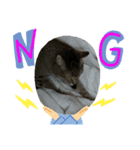 保護猫まるにゃん（個別スタンプ：6）