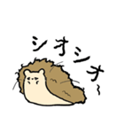 ハリネズミ ことげの日常2（個別スタンプ：23）