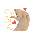 ぷんちゃん～ごきげん編～（個別スタンプ：4）