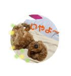 Wankoスタンプ     Hanaちゃん（個別スタンプ：4）