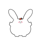 ふわふわアンゴラウサギベリー（個別スタンプ：24）
