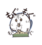 ハムスター＠こゆきち（個別スタンプ：23）