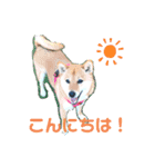 柴犬もなかのスタンプ（個別スタンプ：1）