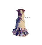 シェリ1（個別スタンプ：2）