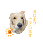 マロンとピーチ（個別スタンプ：1）