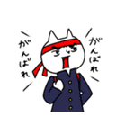 ちょっと長めの白ネコと時々三毛猫（個別スタンプ：29）