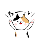 ちょっと長めの白ネコと時々三毛猫（個別スタンプ：30）