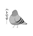 自己紹介をするデブ鳥たち（個別スタンプ：1）